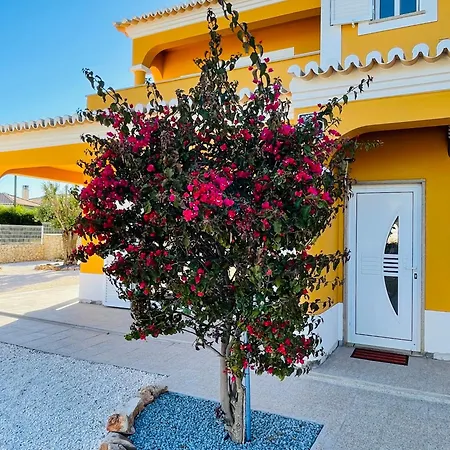 Malia Algarve Mexilhoeira Grande